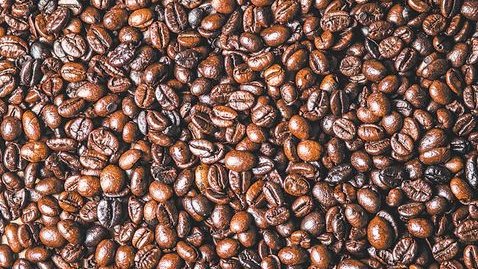 Se recupera, producción colombiana de café