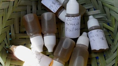 Remedios indígenas; medicina alternativa
