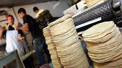 El 30% de las tortillas en México contienen glifosato, sustancia cancerígena