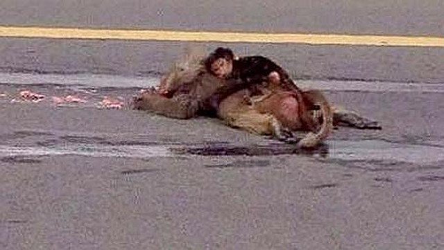 Da la vuelta al mundo imagen de cría de mono abrazado a su madre muerta