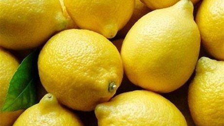 Limones argentinos, cerca de ingresar en México