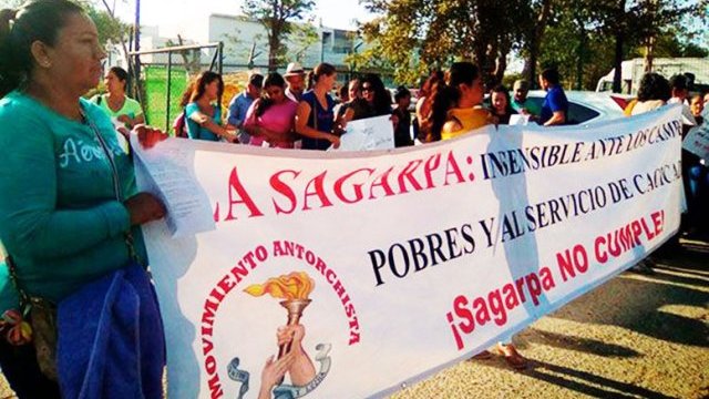 Nos topamos contra la burocracia de la Sagarpa: Antorcha