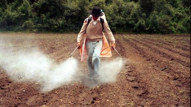Para la agricultura en México se usan 111 plagicidas prohibidos en otros países por cancerígenos