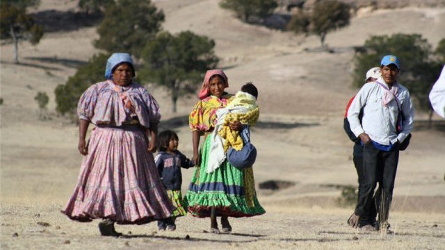 Se formará en Chihuahua un nuevo distrito indígena electoral