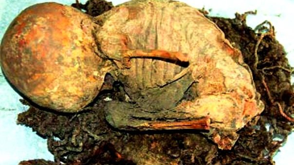 Hallan dos nuevas momias de ancestros rarámuris