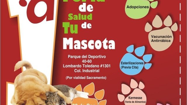 Hoy inicia campaña de vacunación a mascotas en la capital