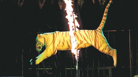 Asegura Profepa cuatro animales al circo Atayde en Morelos