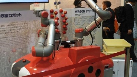 Japón: hay grandes avances en los robots para cosechar tomates