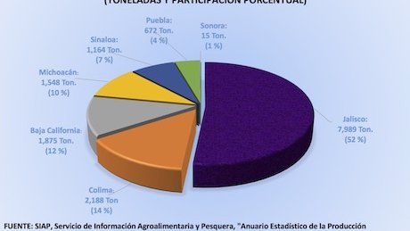 Colima es el segundo productor nacional de arándano