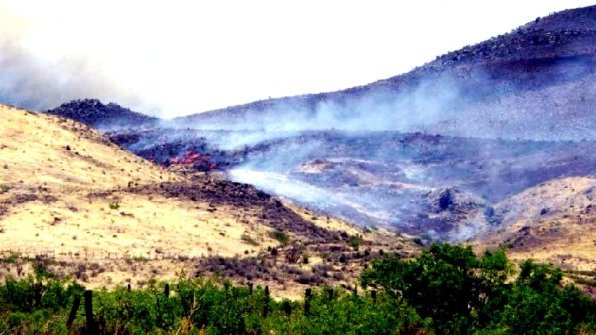 Incendio consume mil hectáreas en Casas Grandes