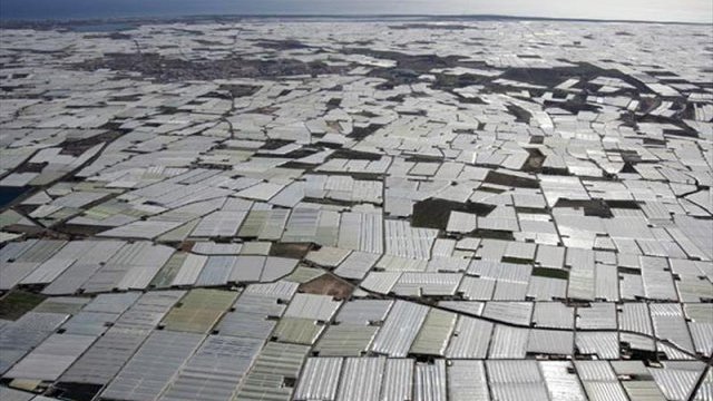 España: Crece la superficie de invernadero en Andalucía oriental