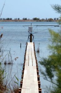 El cambio climático se medirá en el delta del Ebro 