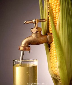 La FAO insta a no producir etanol a partir del maíz