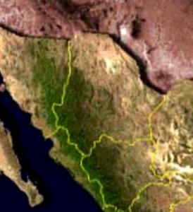 Bajas temperaturas para Chihuahua, temperatura 0° para Juárez y -6° para Temósachi