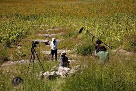 Destrucción del campo chihuahuense, en un documental
