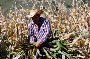 El Gobierno de Felipe Calderón debe declarar emergencia nacional en el sector alimentario 