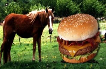El ADN de caballo en las hamburguesas de vacuno pudo venir de aditivos