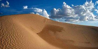 En peligro, las dunas de Samalayuca