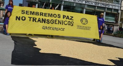 Greenpeace se manifestó contra los transgénicos