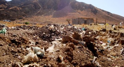 Rebrotan antiguos basureros en el Cerro Grande