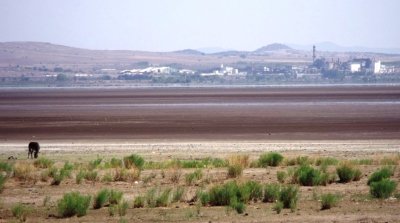 Un desastre ambiental: se seca la Laguna de Bustillos