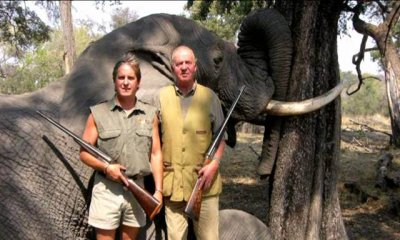La caza de elefantes, regulada previo pago de entre 7 mil y 20 mil euros