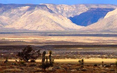 El Desierto Chihuahuense tiene gran riqueza biológica