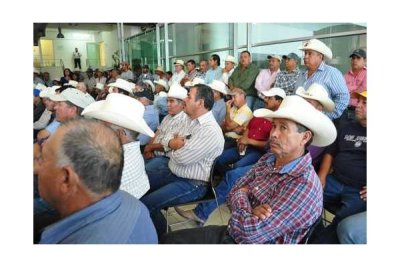 No cederán productores de Villa Ahumada ante CFE