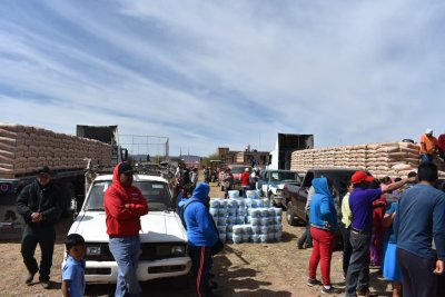 Familias de 20 municipios zacatecanos reciben apoyos por gestión de Antorcha