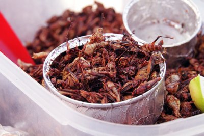 Los 5 insectos más sabrosos de la gastronomía mexicana