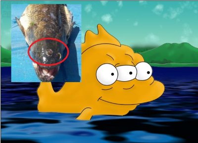 Encuentran un pez de 3 ojos en un lago cercano a una planta nuclear