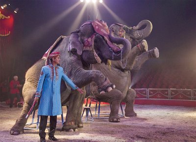 Piden acabar con el maltrato de animales en circos