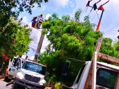 Antorcha logra electrificar zonas marginadas de San Luis Potosí