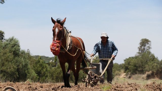 El campo mexicano, olvidado por el Gobierno de la 4T