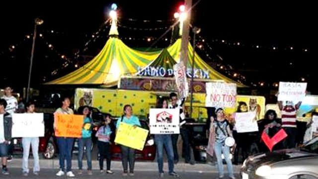 Mundo Patitas se manifiesta contra circo 