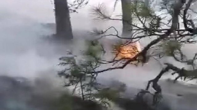 Concentra Chihuahua la mitad de incendios forestales activos en el país