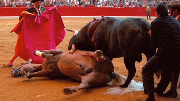 Corridas de toros, son intocables en Chihuahua: PVEM