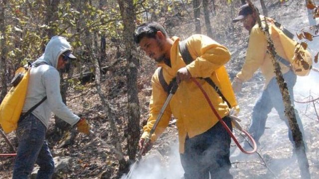 Incendios forestales en la sierra de Chihuahua y la negligente política del gobierno federal