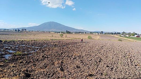 Del Mazo asegura hambruna en 22 municipios mexiquenses