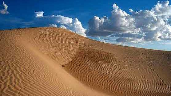 En peligro, las dunas de Samalayuca