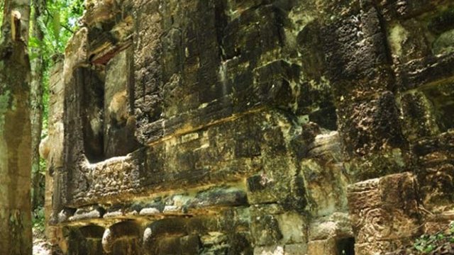 Descubren ciudad maya perdida al norte de Calakmul, Campeche