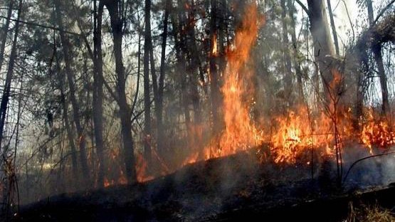 Sequía dispara incendios en México