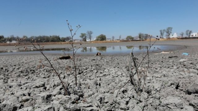 Sistema Cutzamala, con apenas 44 % de almacenamiento; Conagua advierte sequía severa