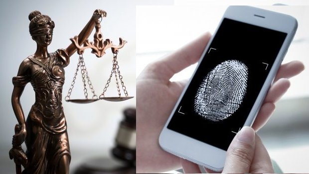 Padrón de datos biométricos de la 4T viola derechos: INAI