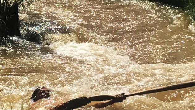 Ciudadanos salvan a un hombre de ahogarse en el río Sacramento