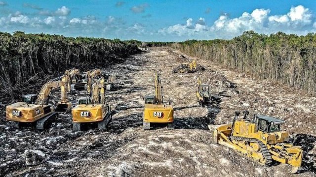 Tren Maya, devastación ambiental y pobreza