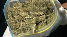 INE propone consulta nacional para legalizar marihuana 