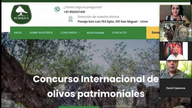 #Chimalhuacán gana concurso de árboles de olivo patrimoniales