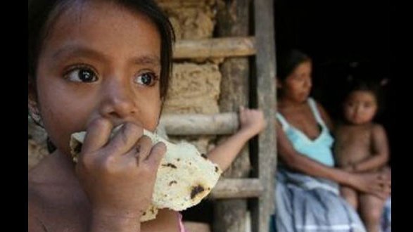 Hay en México 11.7 millones de niños en pobreza alimentaria